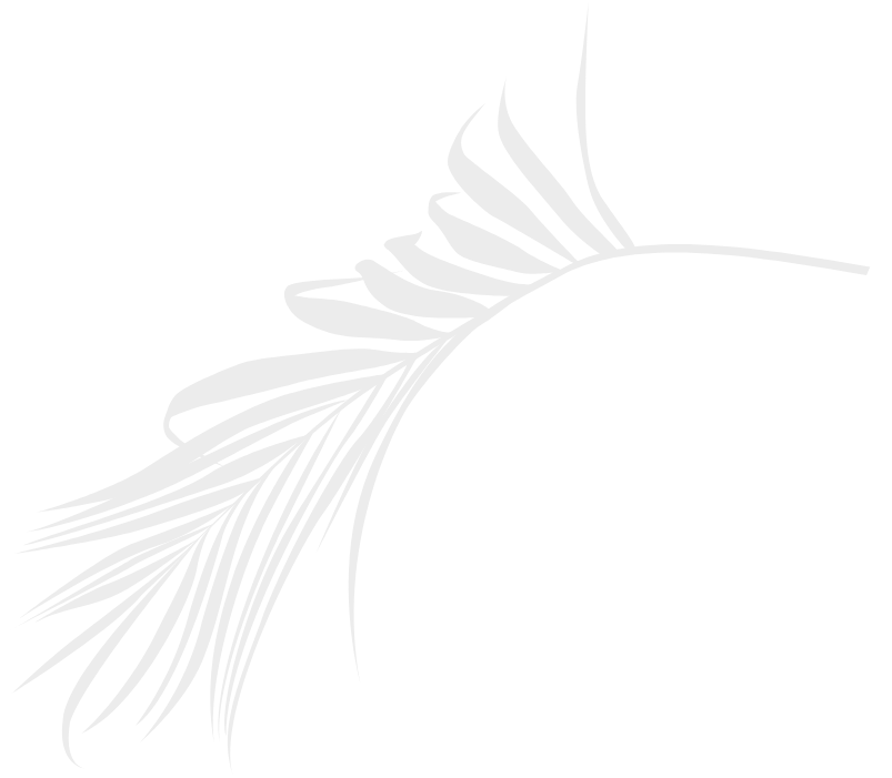 A light gray color palm leaf on a white background.