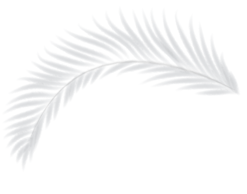 A light feather on a neutral gray background.